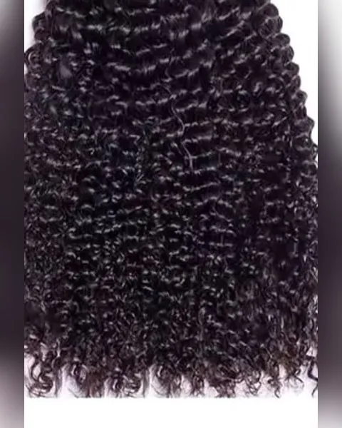 Burmese Wet Curls Bundle, another view